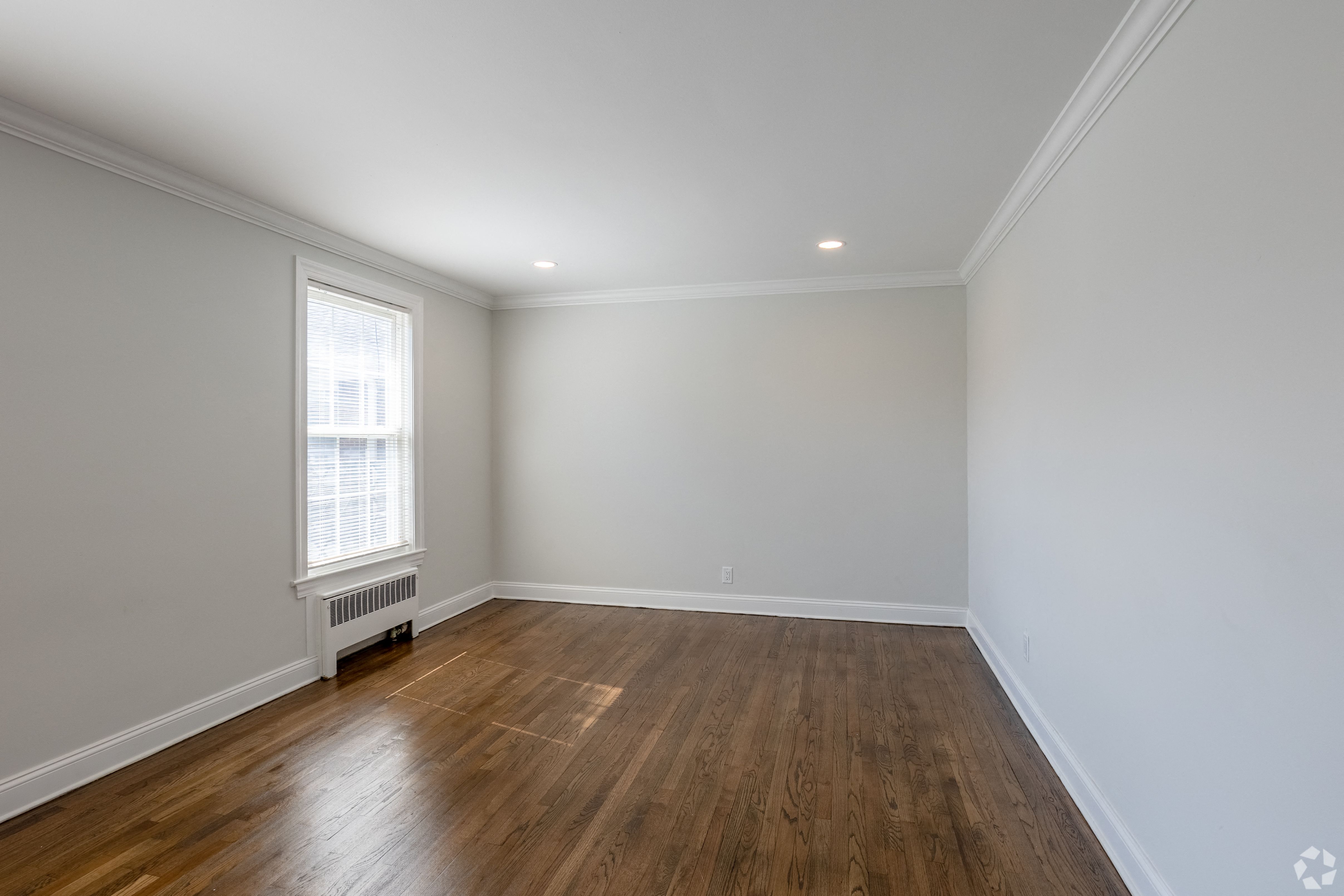 Gallery Photo 5